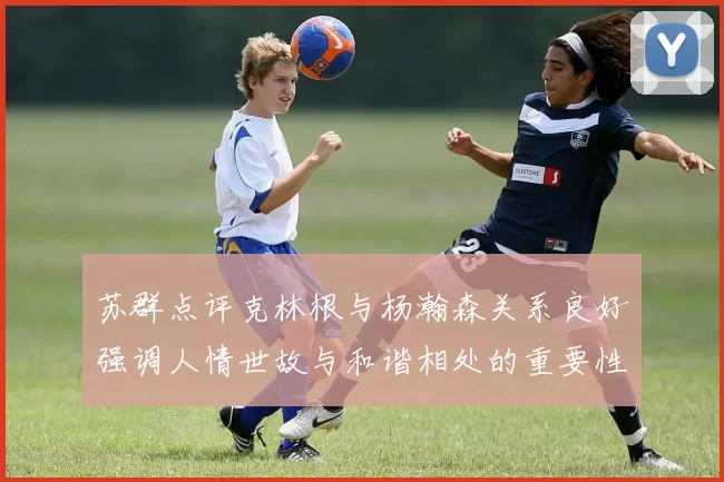 苏群点评克林根与杨瀚森关系良好强调人情世故与和谐相处的重要性