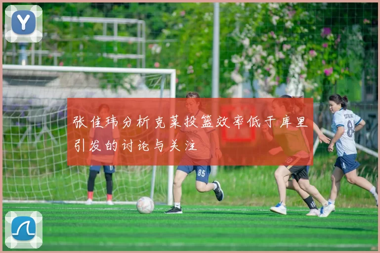 张佳玮分析克莱投篮效率低于库里引发的讨论与关注